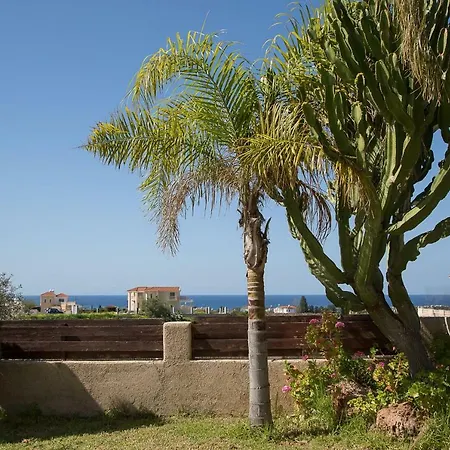 Coral Bay Sunlove Pegeia